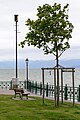 English: The castle wall of Schloss Friedrichshafen. The viewpoint at the castle wall on a stormy day. Deutsch: Die Schlossmauer von Schloss Friedrichshafen. Der Aussichtspunkt an der Schlossmauer an einem stürmischen Tag.