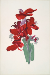 Red Canna, 1915, Yale University Art Gallery