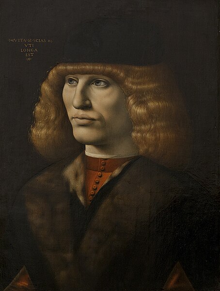 File:Giovanni Antonio Boltraffio - Portrait of a Young Man, c1491 -Pinacoteca di Brera, Milan.jpg