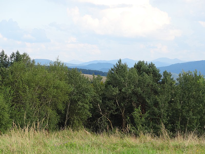 File:Gmina Bukowsko, Poland - panoramio (112).jpg