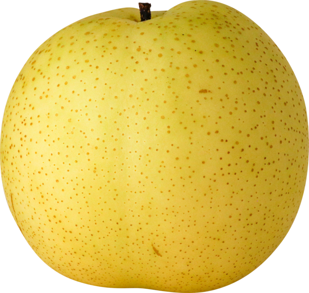 File:Golden Asian Pear 2.png