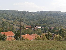 Gornja Slatina (Leskovac)