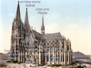 חלקי הקתדרלה הגותית Gothic cathedral overview (Cologne Cathedral)