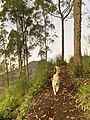 Gunung Batur, Kintamani MWD 22