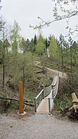 Suspension bridge in the world forest Harz.JPG