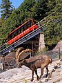 Harderbahn ĉe Interlaken