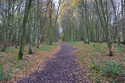 How to get to Havannah Nature Reserve with public transport- About the place