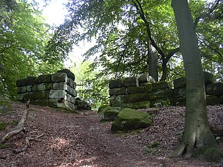 Heidelsburg Castle ruins in Germany