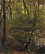 Rivier in een dicht bos