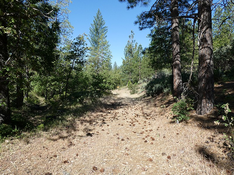 File:Hetch Hetchy Railroad ROW off Smith Peak Lookout Road, May 2022.JPG