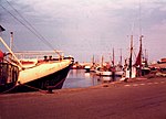 Hirtshals fiskehamn, 1984
