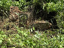 Grave at Historic Muhembo ruins, Pangani DC, Tanga Region Historic Muhembo ruins, Pangani DC, Tanga Region5.jpg