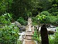 A homemade bridge, near Volcan Baru National Park in Boquete, leading to a private residence