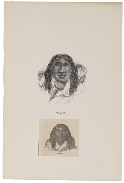 File:Homo sapiens - Patagonië - 1700-1880 - Print - Iconographia Zoologica - Special Collections University of Amsterdam - UBA01 IZ19500198.tif