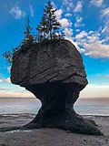 Thumbnail for File:Hopewell Rocks New Brunswick Canada IMG 2431 (38514785414).jpg