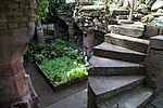 Hospitalfield House - view of fernery.jpg