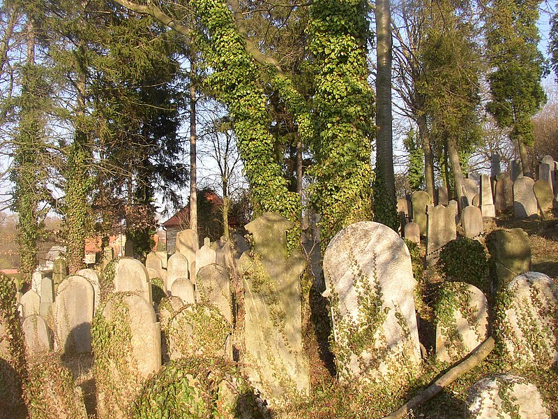 File:Hostoun KL CZ New Jewish Cemetery 101.jpg