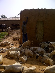 A household in Zamfara State