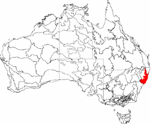 <span class="mw-page-title-main">Djangadi</span> Aboriginal Australian people from Macleay Valley, New South Wales