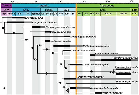 Phylogeny of ichthyosaurs. Thick horizontal lines signify the existence of a fossil record for the respective time and taxa. Thin lines represent ghost lineages.
