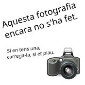 File:Imatge per a il·lustrar l'espai de fotografies pendents.svg