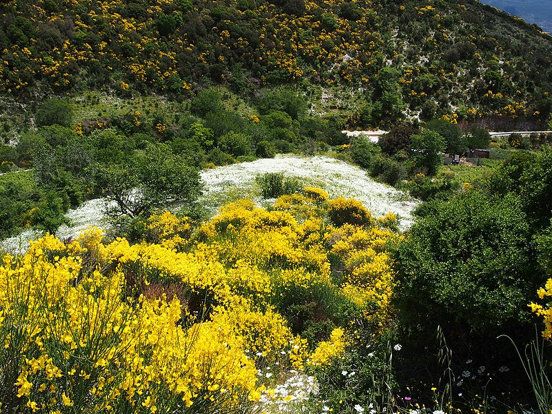 File:In the mountains of Lefkada, pic3.JPG