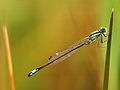 male, Photo by Kristian Peters