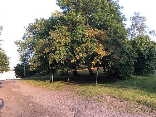 Island of Suomenlinna in Helsinki