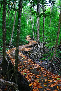 Great Barrier Reef Marine Park Protected area in Queensland, Australia