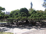 Jardin do Príncipe Real