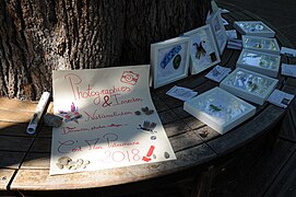 Médiation naturaliste au jardin du Las.