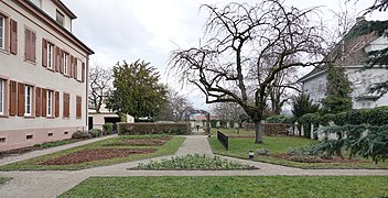Jardin du curé (Saint-Louis).jpg