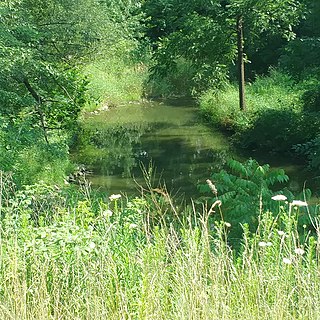 <span class="mw-page-title-main">Jewel Creek</span> Stream in Muskego,Wisconsin