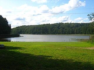 Коłцзево