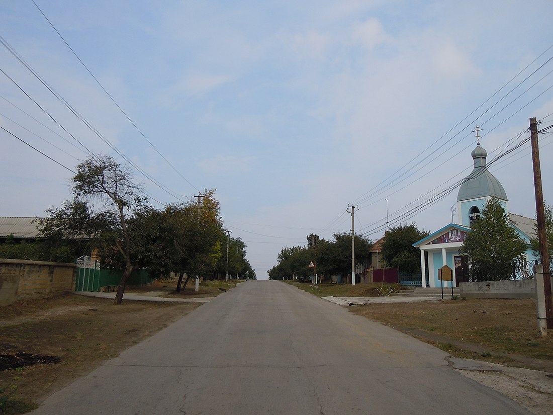 Karakurt (köy)