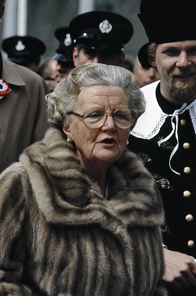 File:Koninginnedag 1979, defile Soestdijk koningin Juliana , koppen, Bestanddeelnr 253-8093.jpg