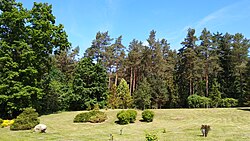 Kopna Góra'da Arboretum