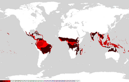 中学校社会 地理 世界の気候 Wikibooks