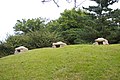 Korea-Gyeongju Seokbinggo-Hava delikleri-01.jpg