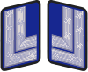 Ranks And Insignia Of The Nazi Party