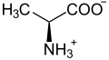 Deutsch: Struktur von L-Alanin unter physiologischen Bedingungen English: Structure of L-alanine under physiological conditions