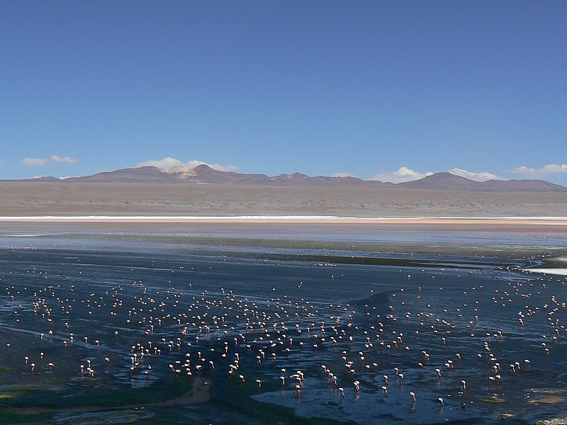 File:Laguna Colorada (Dec. 2006).jpg