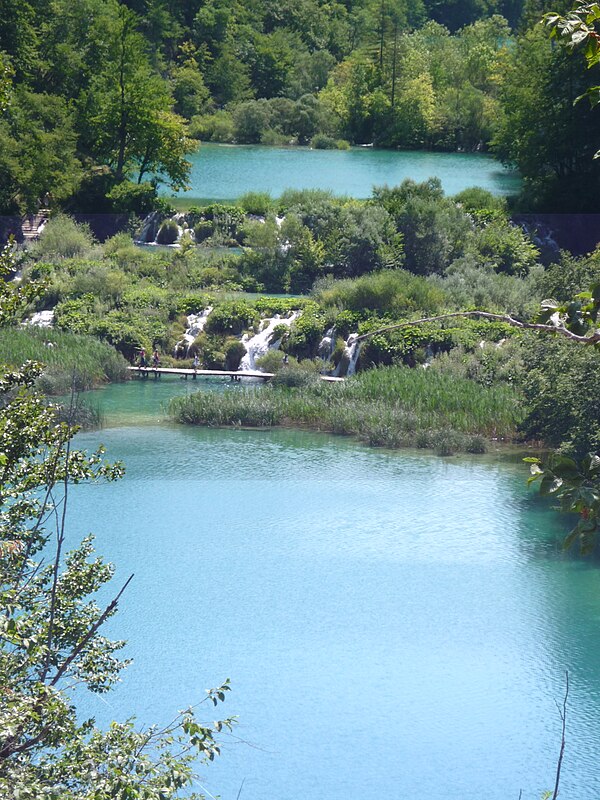 Galovac (Zadar)