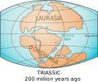 دنیا دا نقشہ براعظماں نو‏‏ں 200 ملین سال پہلے دکھا رہا ہے ( ٹرائاسک پیریڈ )