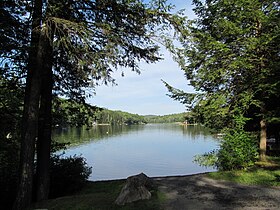 Laŭra Lago, Erving State Forest, Erving MA.jpg