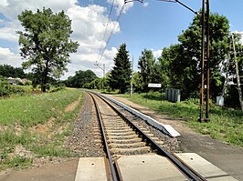 Station Lesięcin