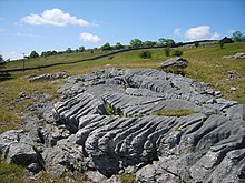 Limestone pavement on the flanks of Hampsfell