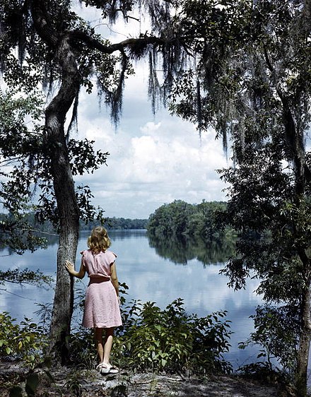 The Suwannee River, is a blackwater river that runs through North Florida and is about 246 miles (396 km) long. The Suwannee River is the site of the prehistoric Suwanee Straits which separated peninsular Florida from the panhandle.
