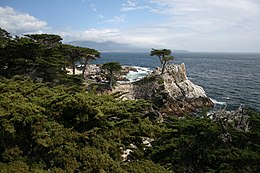 Plage de galets - Vue