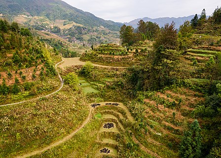 Longsheng Rice Terraces